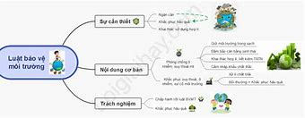 Pháp Luật Việt Nam Về Môi Trường