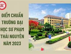 Sư Phạm Tiểu Học Đại Học Tây Nguyên